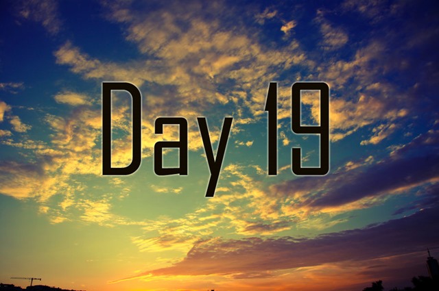 Day 19