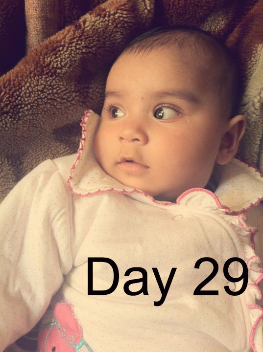 Day 29 Manya Kaur Aman Dhally Pratibha Arora Pratibha Dhally