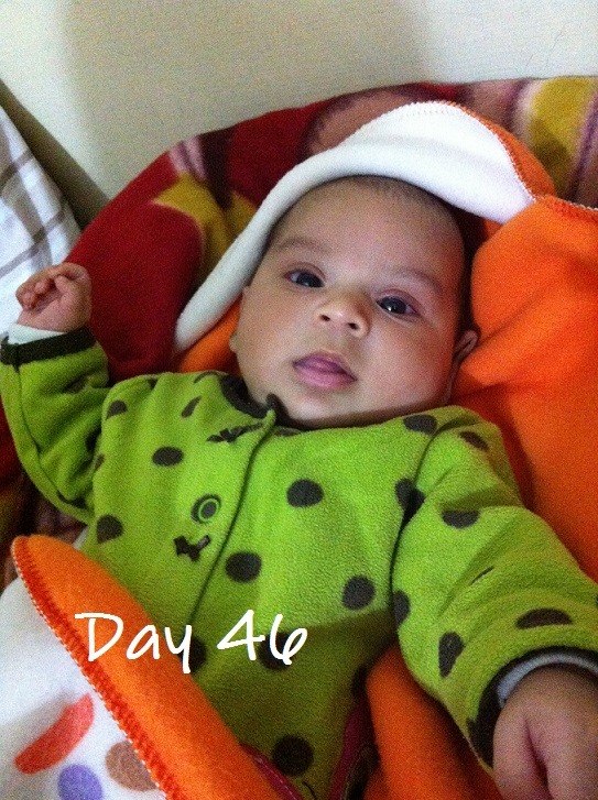 Day 46 Manya Kaur Aman Dhally Pratibha Arora Pratibha Dhally Manya Arora Manya